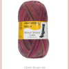 Schachenmayr Regia, Garn Sockgarn ,Erbjudande