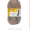 Schachenmayr Regia, Garn Sockgarn ,Erbjudande - Bild 5